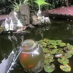 Lucky House