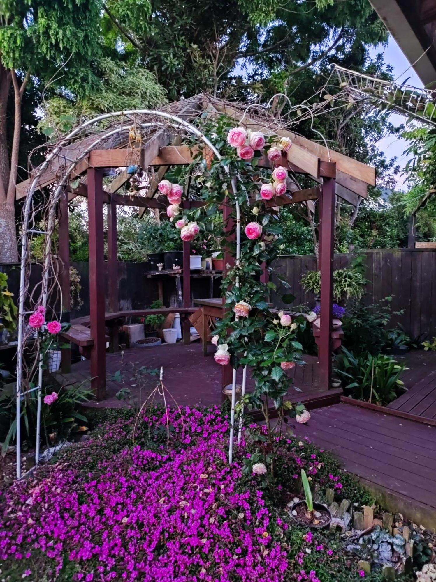 Lucky House * Auckland